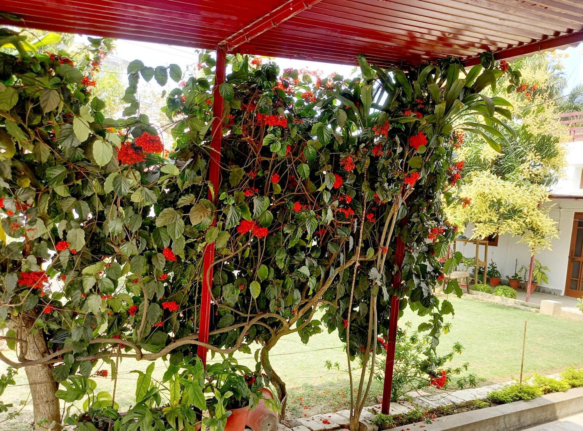 Garden View Residency Bed & Breakfast ลัคเนา ภายนอก รูปภาพ
